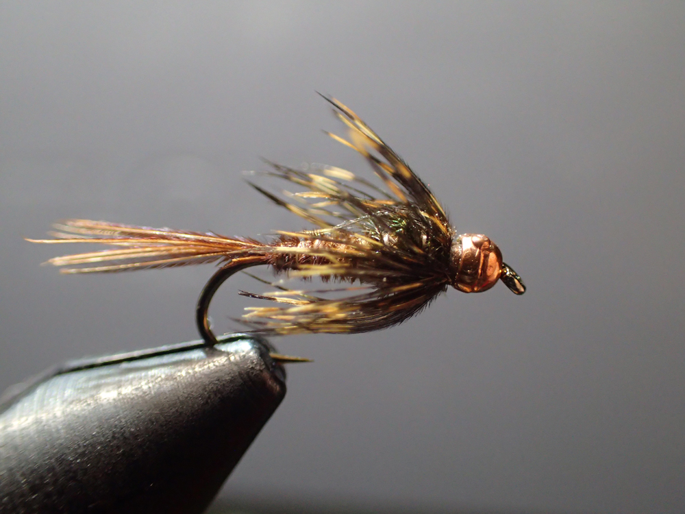 Featured Fly: Soft Hackles