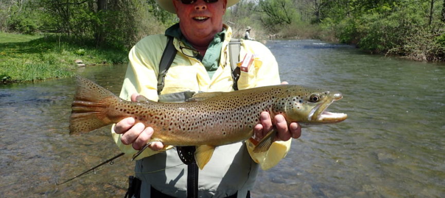 Dry Fly Fishing: Gink Vs. Frog's Fanny