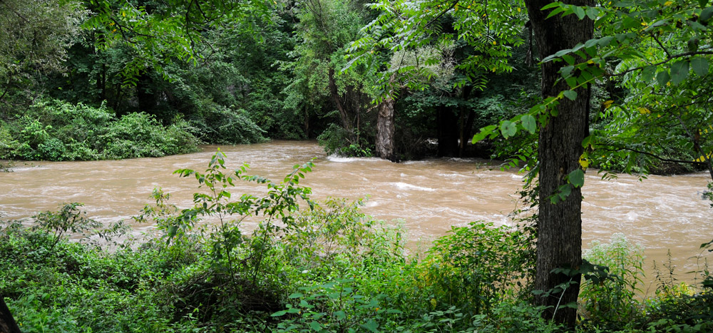 Spruce Creek Flooding 2018
