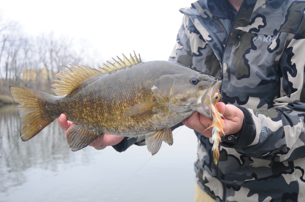HomeWaters Fly Fishing: 2021 Spring Prespawn Bass Floats